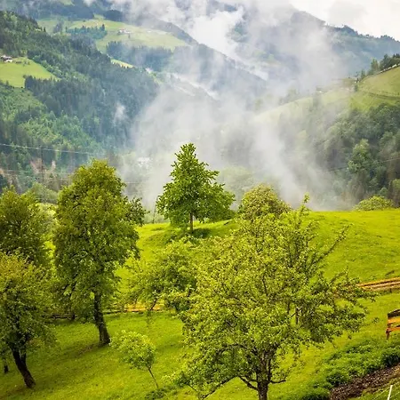 Bio Bauernhof Oberbenk * Wagrain