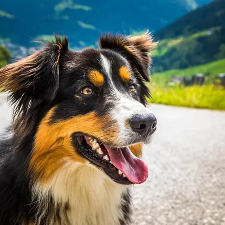 דירה Bio Bauernhof Oberbenk וואגריין