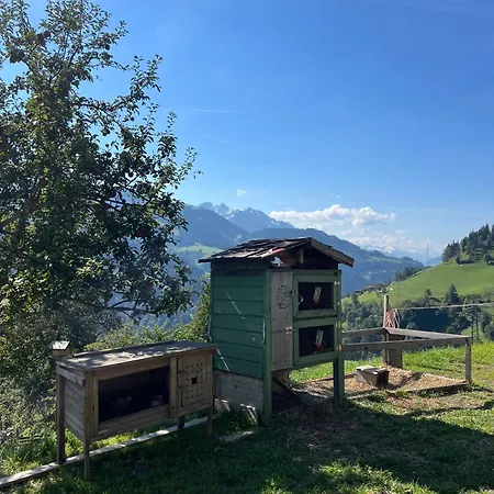 Bio Bauernhof Oberbenk Wagrain