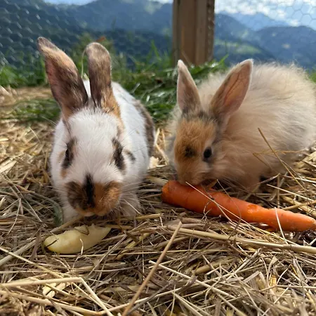 Bio Bauernhof Oberbenk * וואגריין