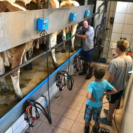 Bio Bauernhof Oberbenk דירה *