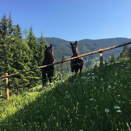 Bio Bauernhof Oberbenk דירה וואגריין