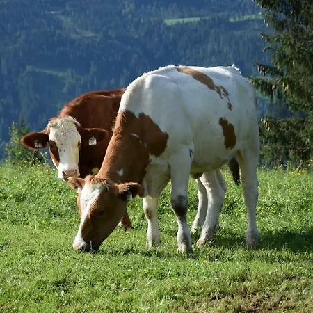 דירה Bio Bauernhof Oberbenk