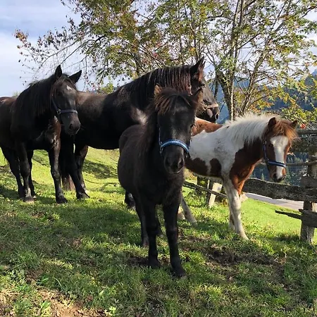 Bio Bauernhof Oberbenk * וואגריין