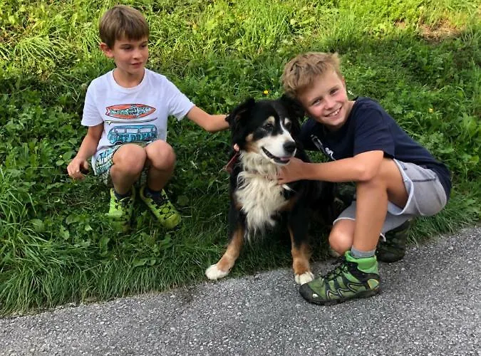 Bio Bauernhof Oberbenk Wagrain