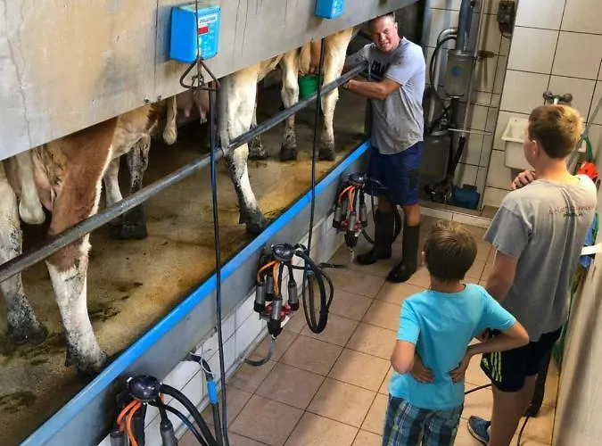 Bio Bauernhof Oberbenk Apartment *