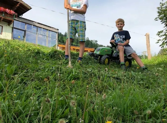 Bio Bauernhof Oberbenk