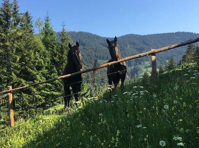 Bio Bauernhof Oberbenk Apartment Wagrain